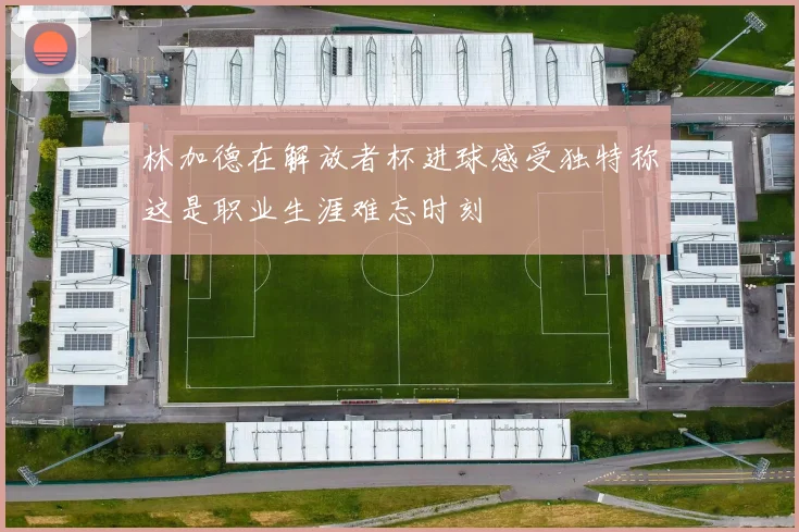 林加德在解放者杯进球感受独特称这是职业生涯难忘时刻